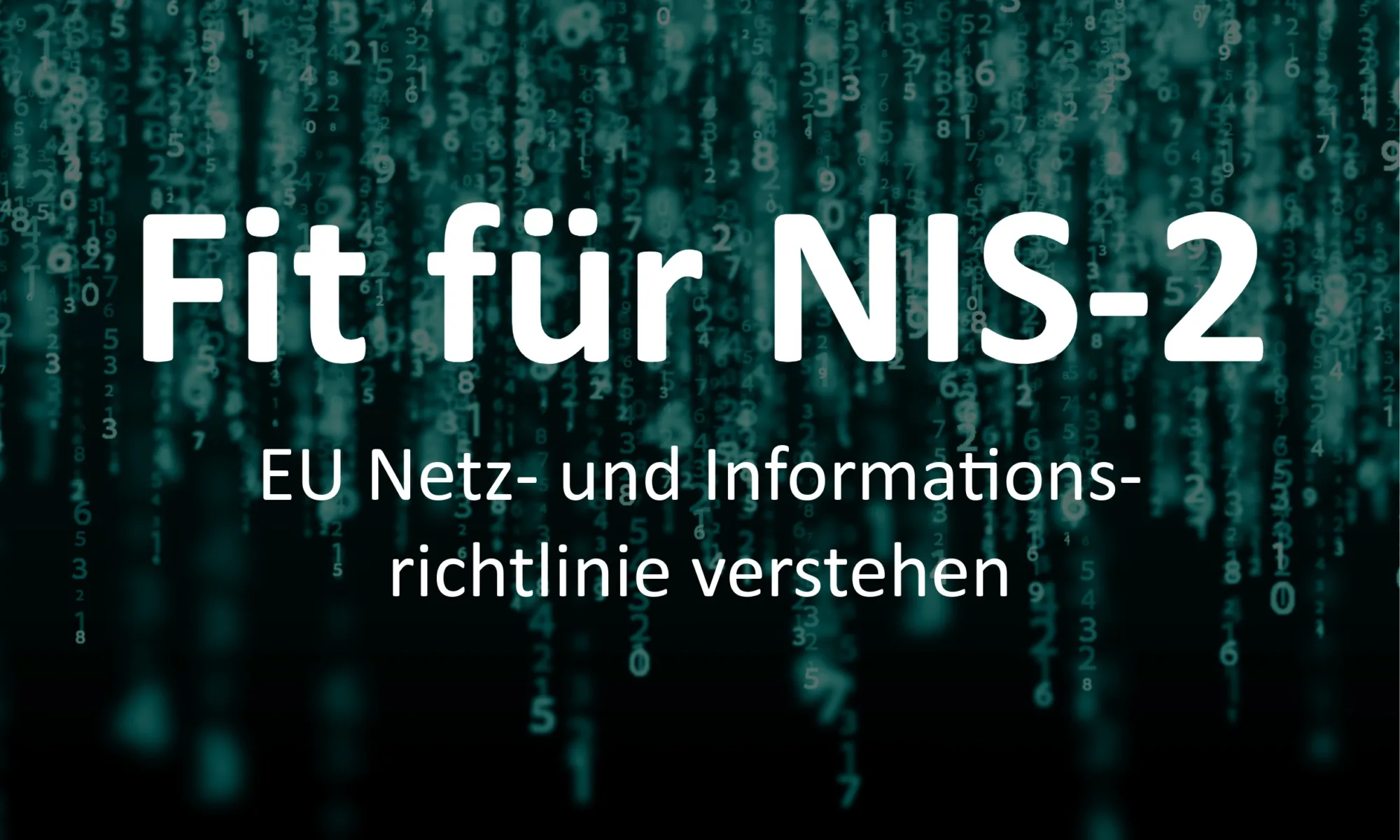 Fit für NIS2 – EU Netz- und Informationsrichtlinie verstehen (Hintergrund: blaue Zahlen, Code)