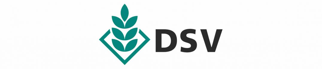 DSV